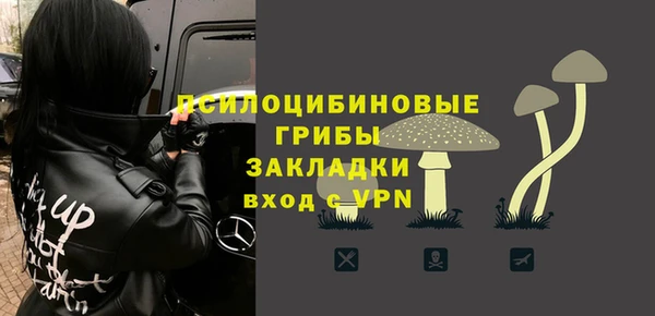гидра Арсеньев