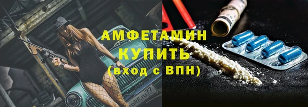 гидра Арсеньев
